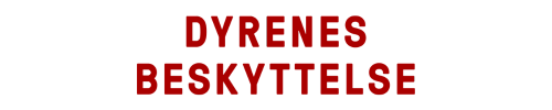 dyrenes beskyttelse