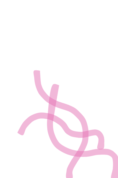 Billeder til retail tours (4)