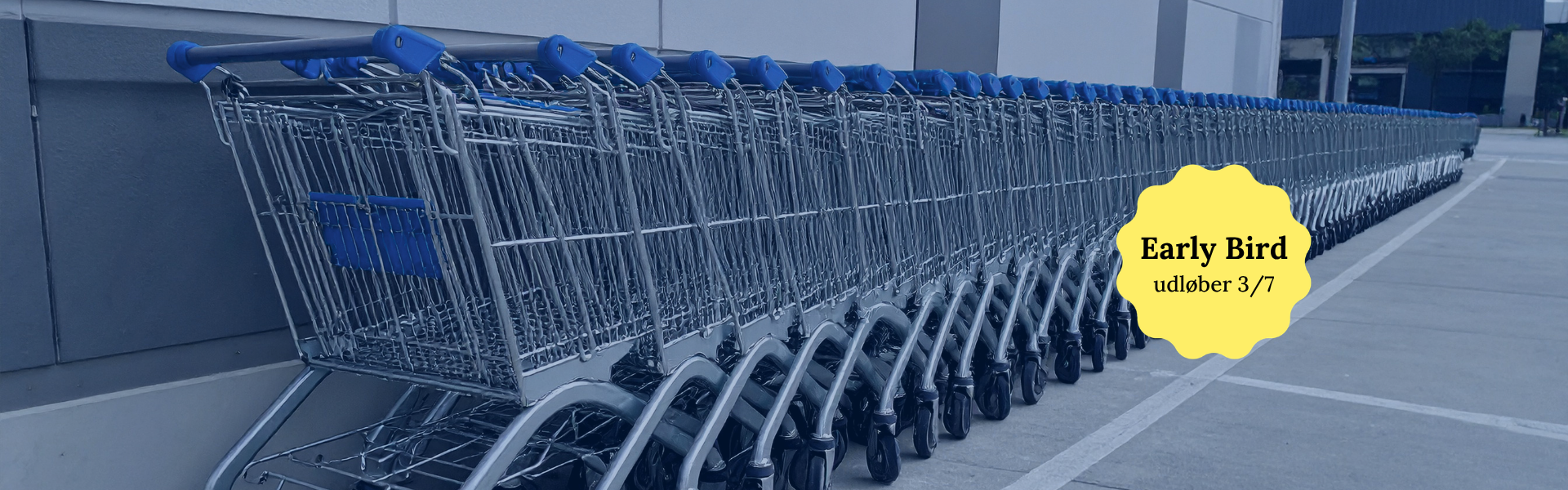 FMCG (53)