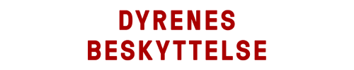 dyrenes beskyttelse
